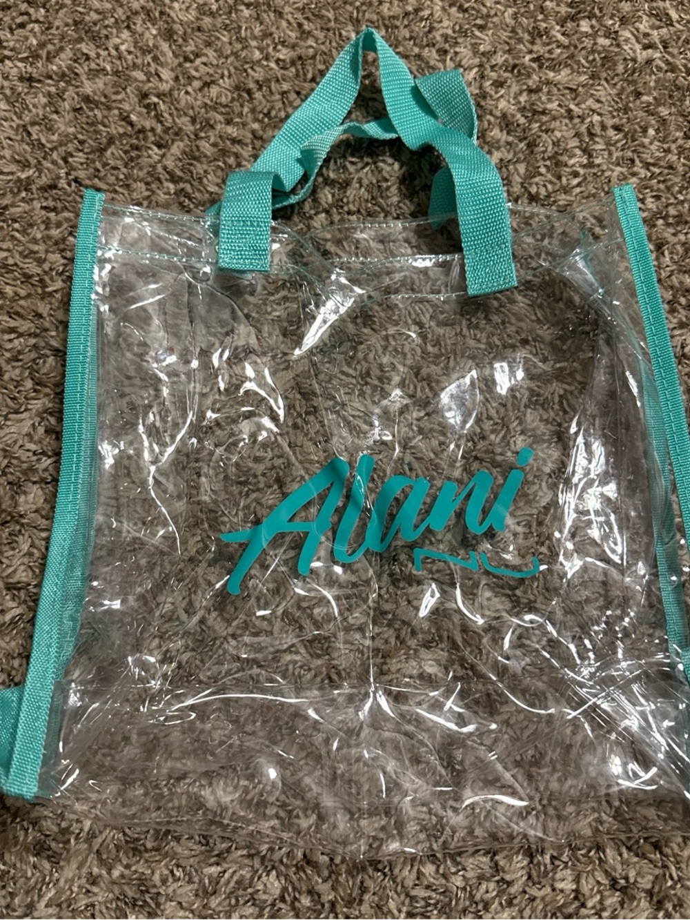 Alani Clear Tote with Teal Trim